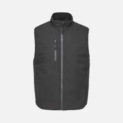 Жилет софтшелл унисекс Falcon BW, черный