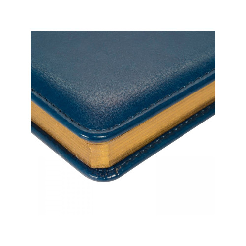 Ежедневник недатированный А6+ Sidney Nebraska, синий (золотой обрез)