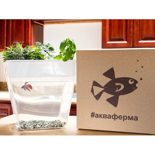 Набор для выращивания растений и ухода за рыбкой Акваферма Набор для выращивания растений и ухода за рыбкой Акваферма