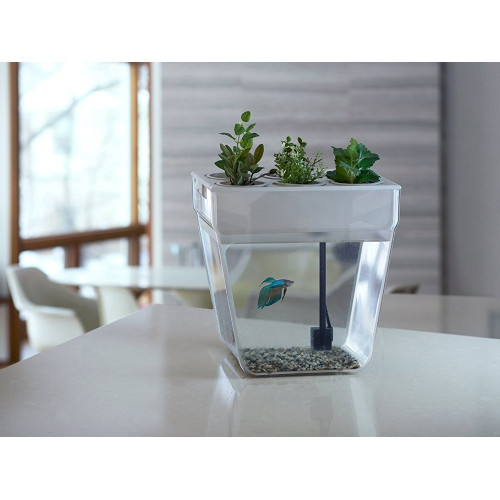 Набор для выращивания растений и ухода за рыбкой Акваферма Набор для выращивания растений и ухода за рыбкой Акваферма