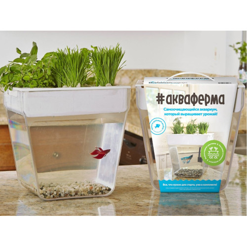 Набор для выращивания растений и ухода за рыбкой Акваферма Набор для выращивания растений и ухода за рыбкой Акваферма