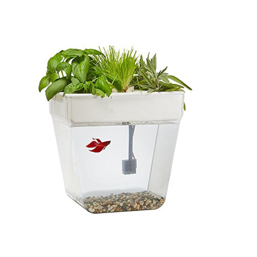 Набор для выращивания растений и ухода за рыбкой Акваферма Набор для выращивания растений и ухода за рыбкой Акваферма