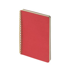Бизнес тетрадь на гребне А5 Pragmatic, 60 листов в клетку, красный