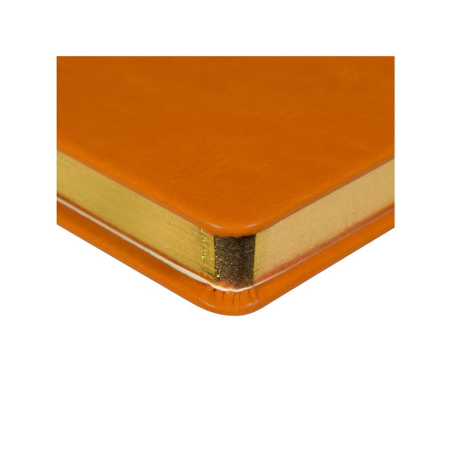 Ежедневник недатированный А5 Megapolis Nebraska, оранжевый с золотым обрезом