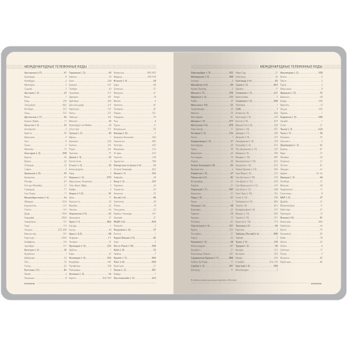 Ежедневник недатированный А5 Megapolis Nebraska, оранжевый с золотым обрезом