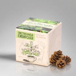 Набор для выращивания Экокуб Classic Лиственница Сибирская