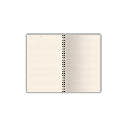 Ежедневник недатированный А5 Alba, серый Ежедневник недатированный А5 Alba, серый