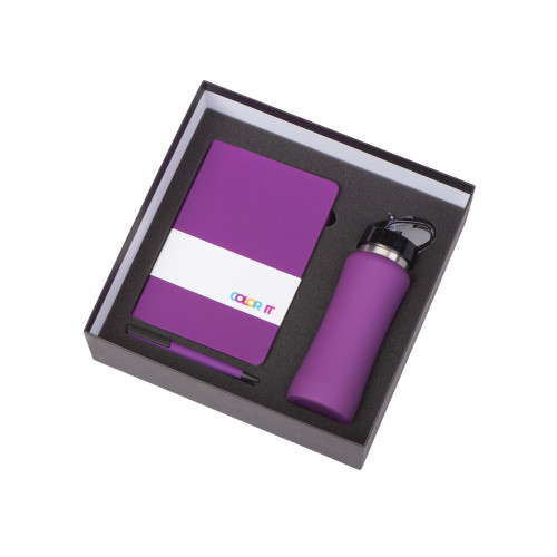 Подарочный набор c блокнотом C2, ручкой и бутылкой, фиолетовый