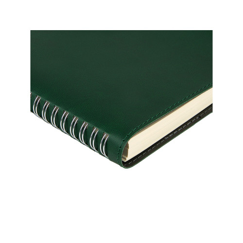 Ежедневник А5 Tintoretto, зеленый Ежедневник А5 Tintoretto, зеленый