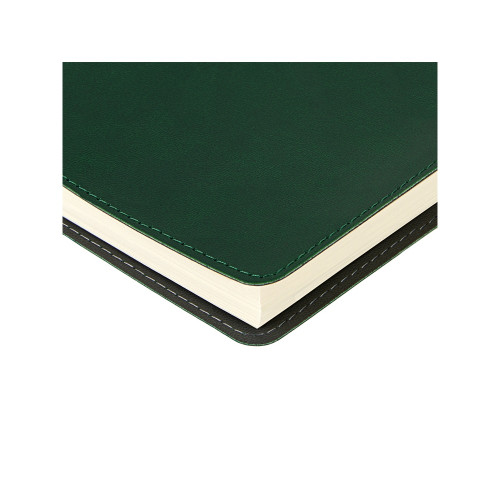 Ежедневник А5 Tintoretto, зеленый Ежедневник А5 Tintoretto, зеленый