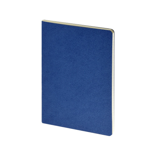 Бизнес-тетрадь А4 Pragmatic, 40л., клетка, синий Бизнес-тетрадь А4 Pragmatic, 40л., клетка, синий