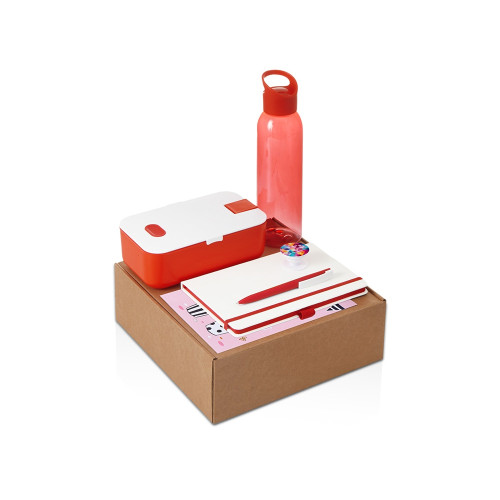 Подарочный набор с бутылкой для воды. блокнотом, ручкой и ланчбоксом, красный