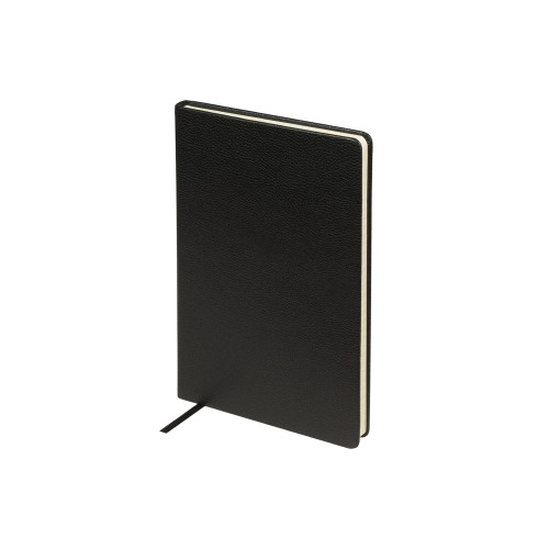 Ежедневник А5 датированный Megapolis Loft на 2026, черный