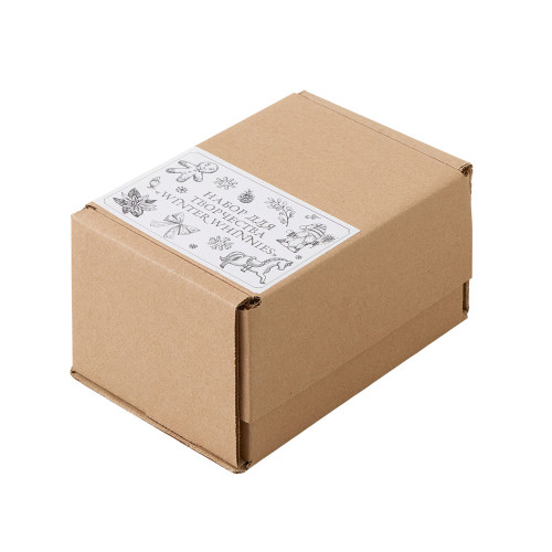 Набор для творчества из гипса Winter Whinnies Набор для творчества из гипса Winter Whinnies