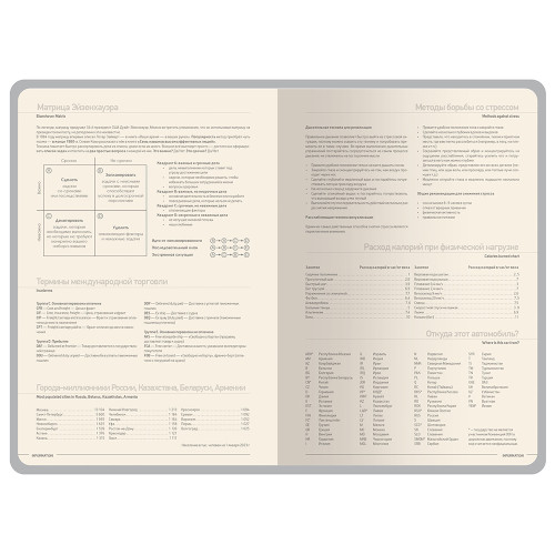 Ежедневник А5 датированный Megapolis Color 2026, серый