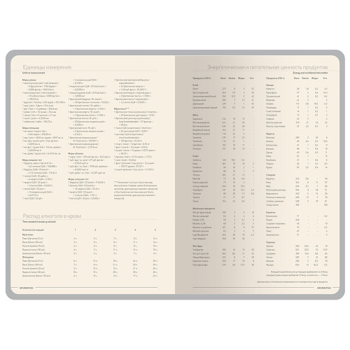 Ежедневник А5 датированный Megapolis Color 2026, серый