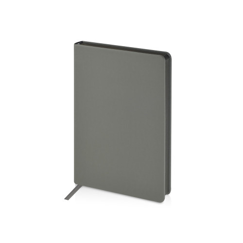 Ежедневник А5 датированный Megapolis Color 2026, серый