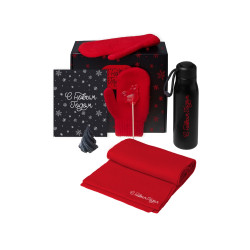 Подарочный набор с варежками, шарфом и термосом,красный