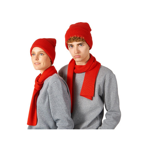 Подарочный набор с варежками, шарфом и термосом,красный