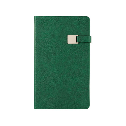 Ежедневник недатированный А5 Premier, зеленый