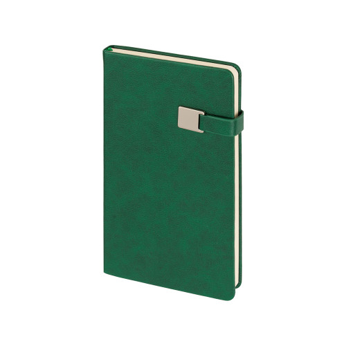 Ежедневник недатированный А5 Premier, зеленый