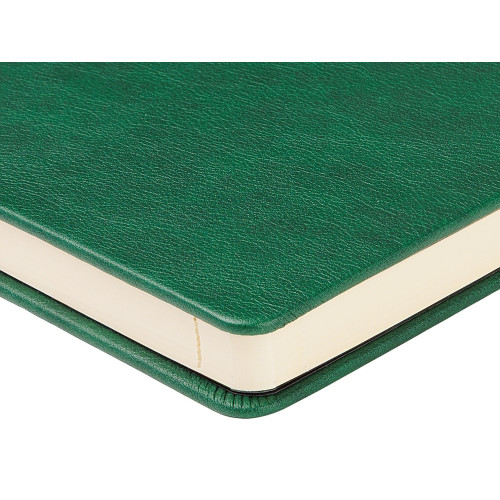 Ежедневник недатированный А5 Premier, зеленый