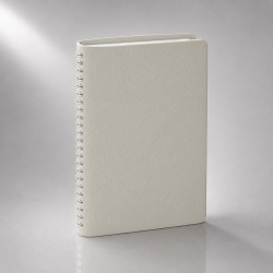 Ежедневник недатированный А5 Alba, белый