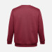 Свитшот унисекс Delta, бордовый
