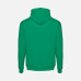 Худи унисекс Phoenix, зеленое Худи унисекс Phoenix, зеленое