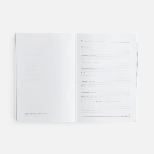 Ежедневник Baza, датированный, зеленый