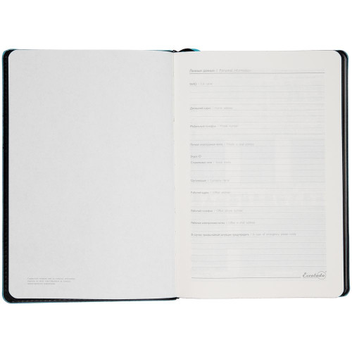 Ежедневник Alanis, недатированный, черный с голубым Ежедневник Alanis, недатированный, черный с голубым