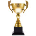 Кубок Spica, большой, золотистый