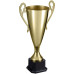 Кубок Guildford, золотистый Кубок Guildford, золотистый