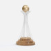 Кубок Everball c 3D-элементами