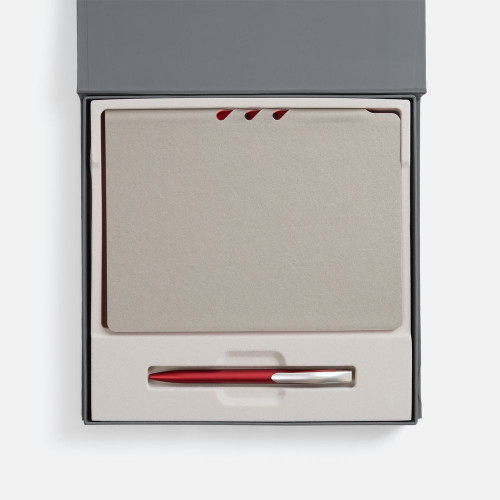 Набор Flexpen Grey, красный Набор Flexpen Grey, красный