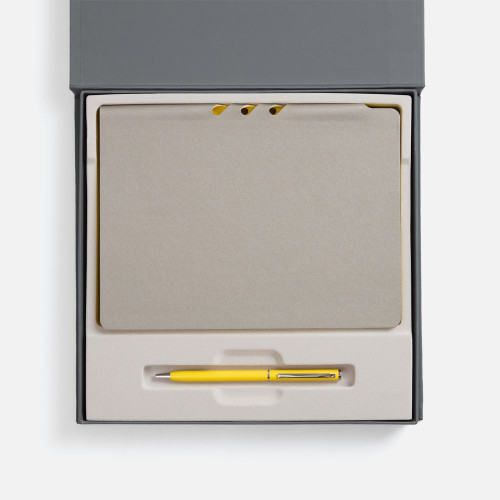 Набор Flexpen Grey, желтый Набор Flexpen Grey, желтый