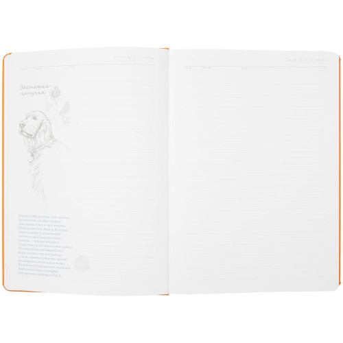 Ежедневник «История изобретений», недатированный, оранжевый