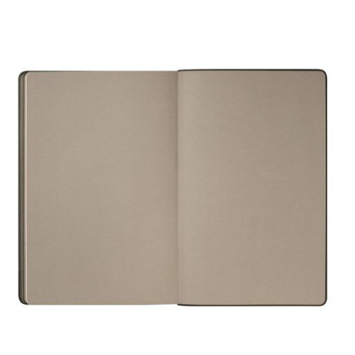 Ежедневник Рейн (Rain) недатированный, черный (без упаковки, без стикера)