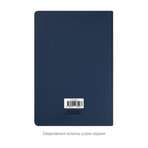 Ежедневник Рейн (Rain) недатированный, синий (без упаковки, без стикера)