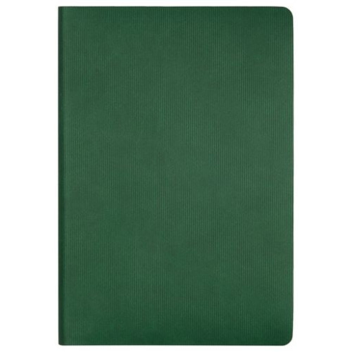 Ежедневник Рейн (Rain) недатированный, зеленый (без упаковки, без стикера)
