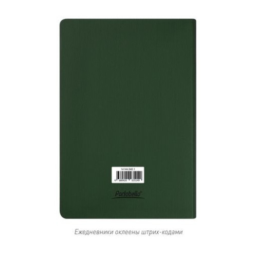 Ежедневник Рейн (Rain) недатированный, зеленый (без упаковки, без стикера)