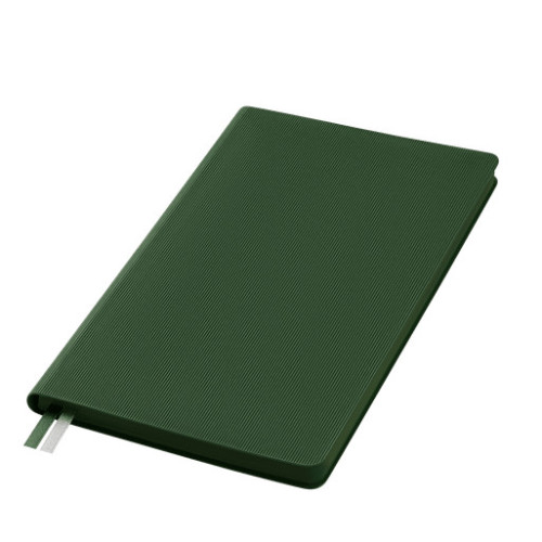 Ежедневник Рейн (Rain) недатированный, зеленый