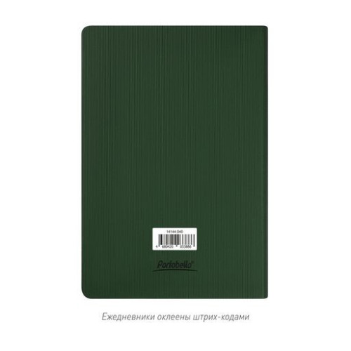 Ежедневник Рейн (Rain) недатированный, зеленый