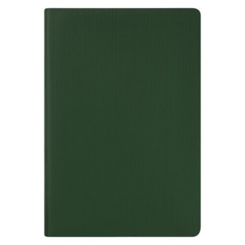 Ежедневник Рейн (Rain) недатированный, зеленый