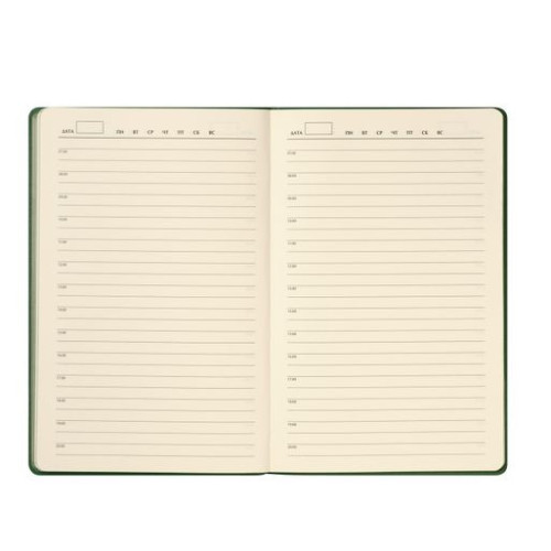 Ежедневник Рейн (Rain) недатированный, зеленый