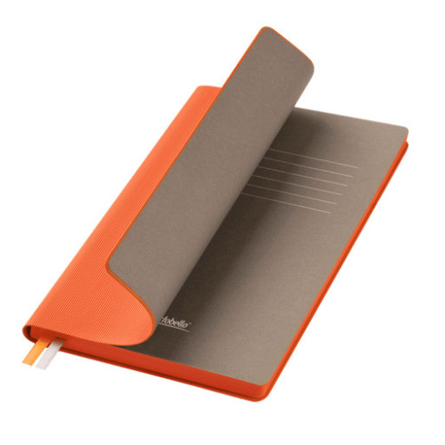 Ежедневник Рейн (Rain) недатированный, оранжевый (без упаковки, без стикера) Ежедневник Рейн (Rain) недатированный, оранжевый (без упаковки, без стикера)