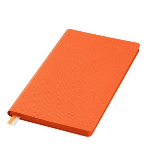 Ежедневник Рейн (Rain) недатированный, оранжевый (без упаковки, без стикера) Ежедневник Рейн (Rain) недатированный, оранжевый (без упаковки, без стикера)