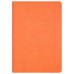 Ежедневник Рейн (Rain) недатированный, оранжевый