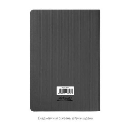 Ежедневник Рейн (Rain) недатированный, серый (без упаковки, без стикера)