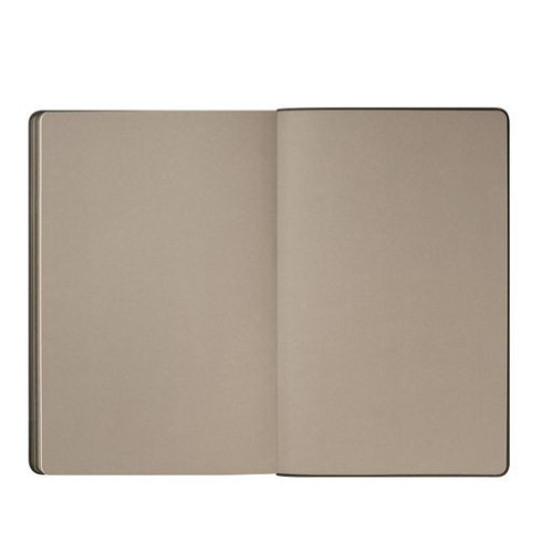 Ежедневник Рейн (Rain) недатированный, серый (без упаковки, без стикера)